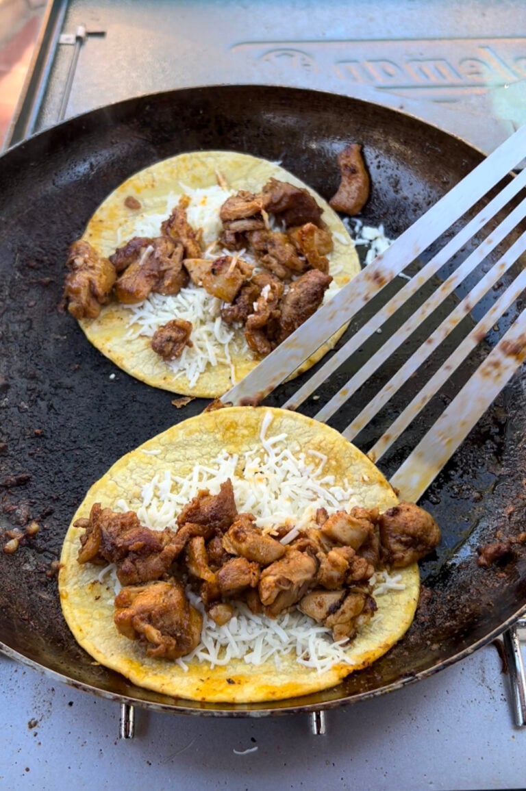 Easy and Delicious Chicken Tacos