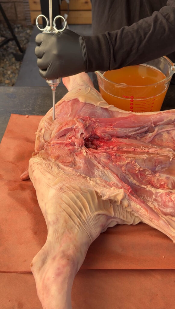 injecting the pig in the back leg