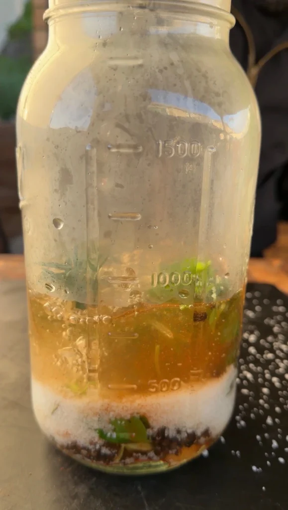 salt brine for the grilled tri tips