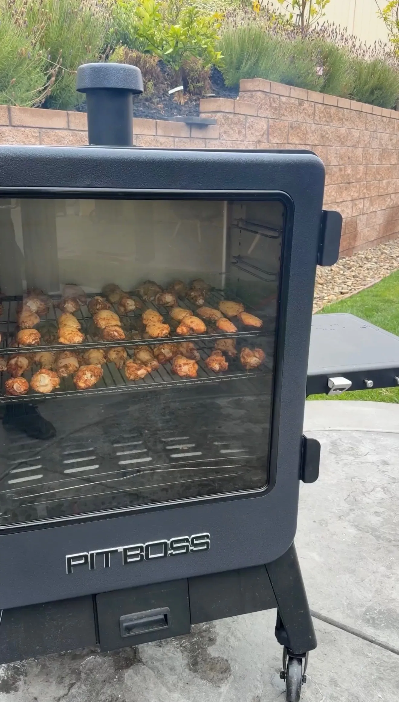 Smoked chicken wings cooking in Pit Boss smoker