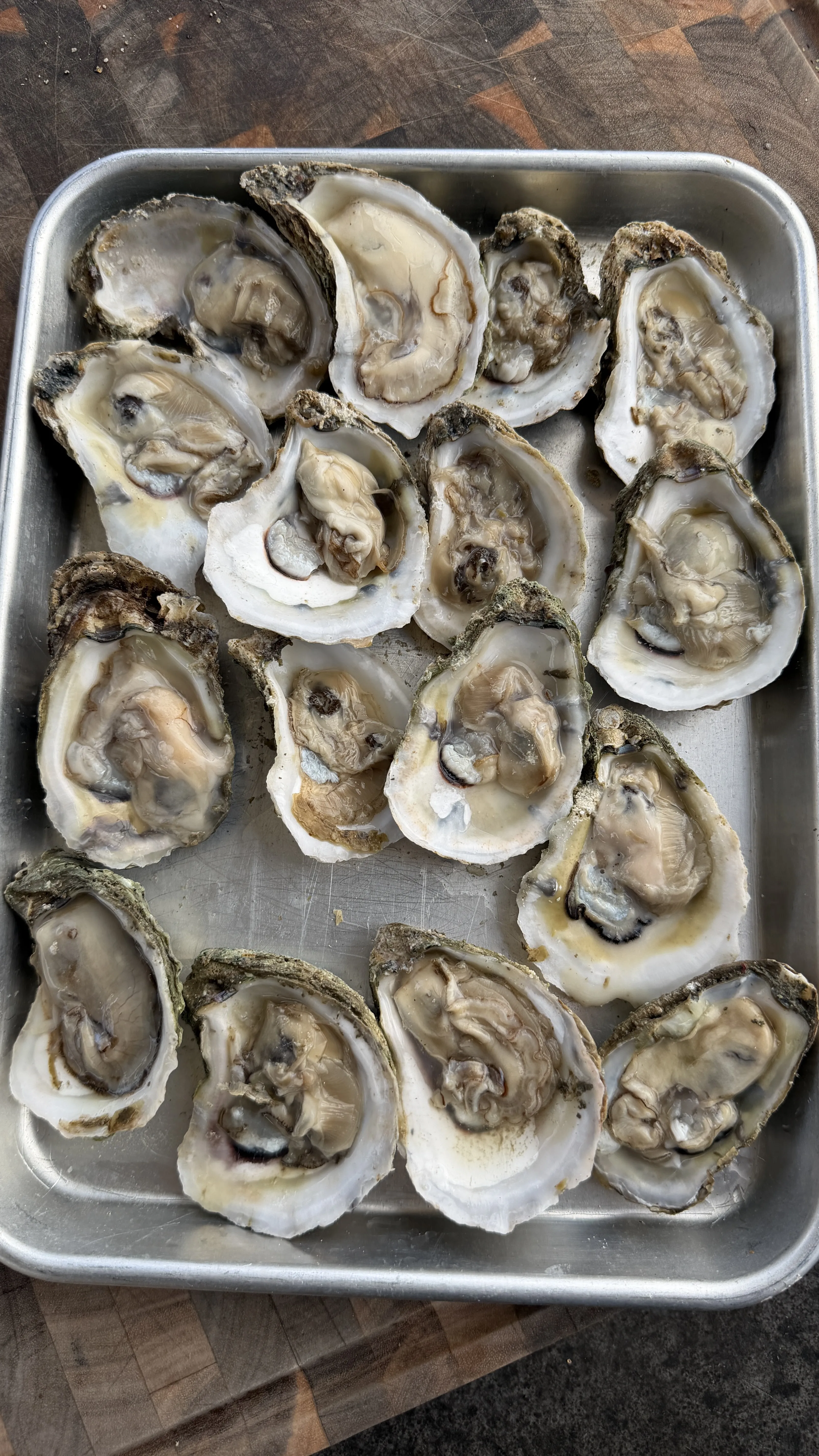 Fresh raw oysters on the half shell arranged on a metal tray, ready for grilling
