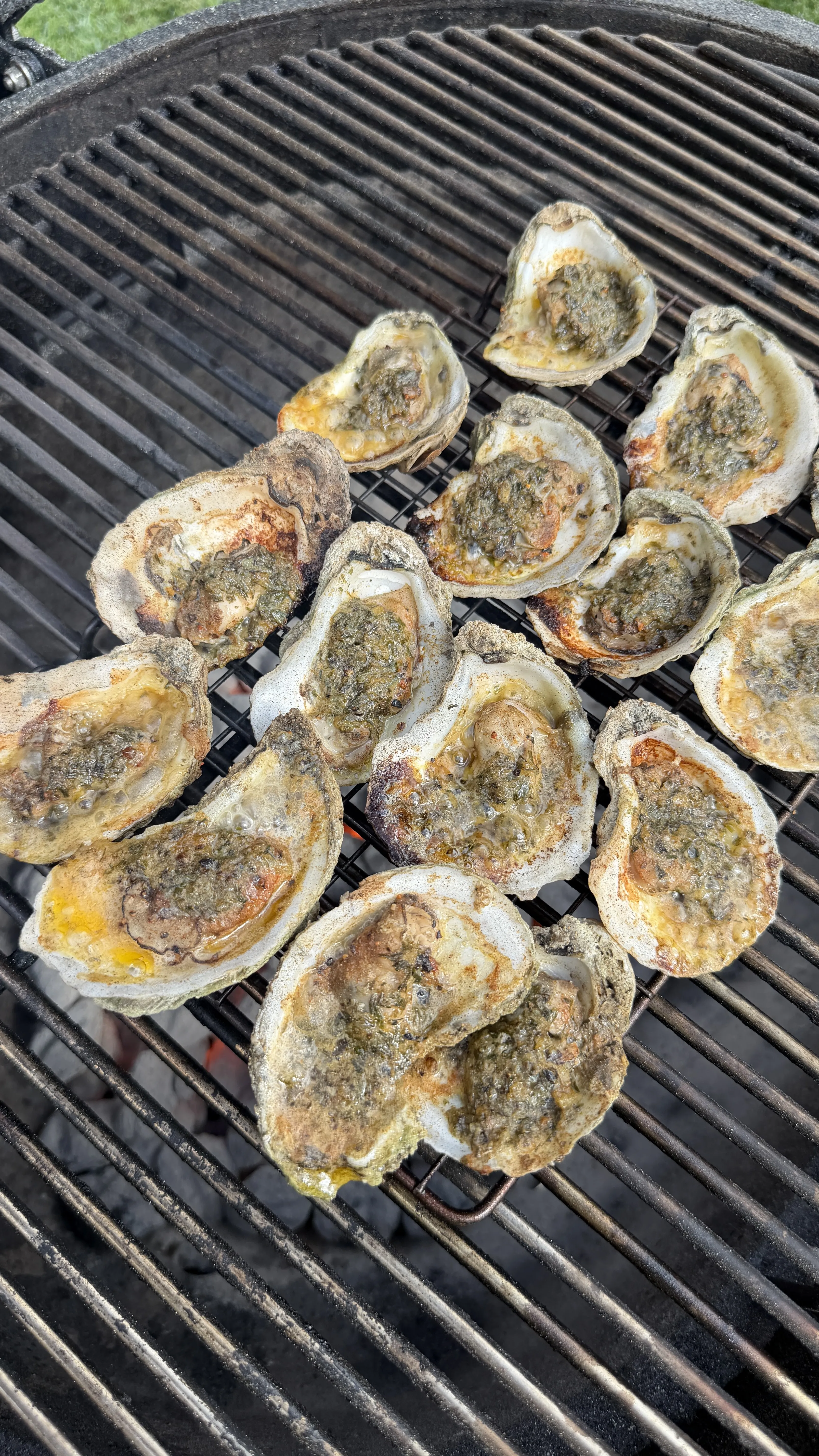 Grilled garlic herb parmesan oysters cooking on grill grates with butter bubbling in the shells