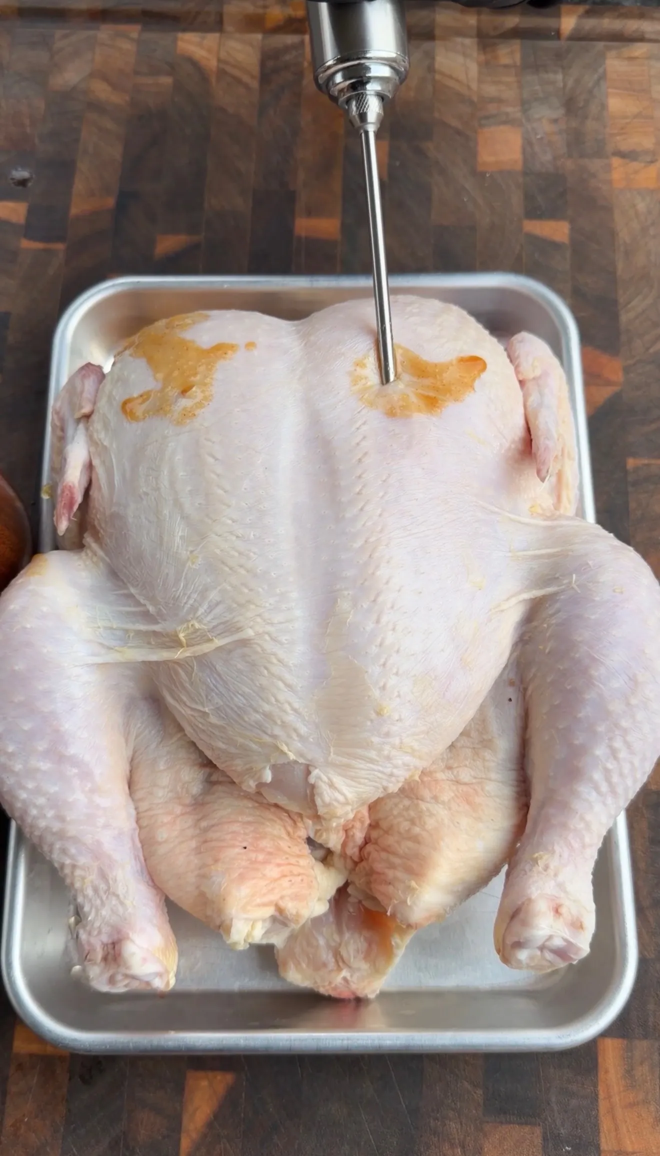Raw whole chicken in metal pan being injected with marinade using stainless steel meat injector