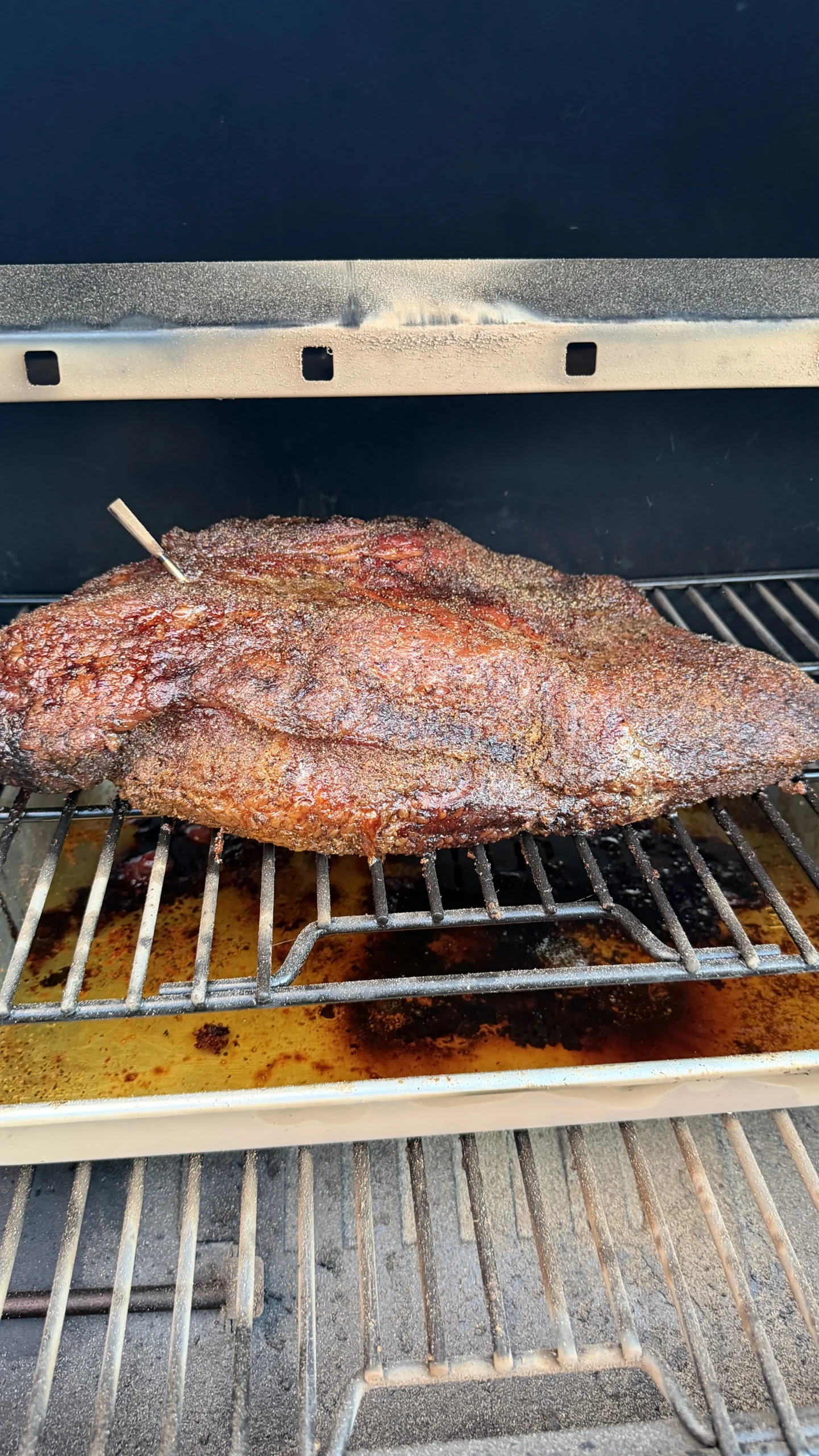 Seasoned barbecue brisket with dark crust smoking on metal grill grates with temperature probe inserted