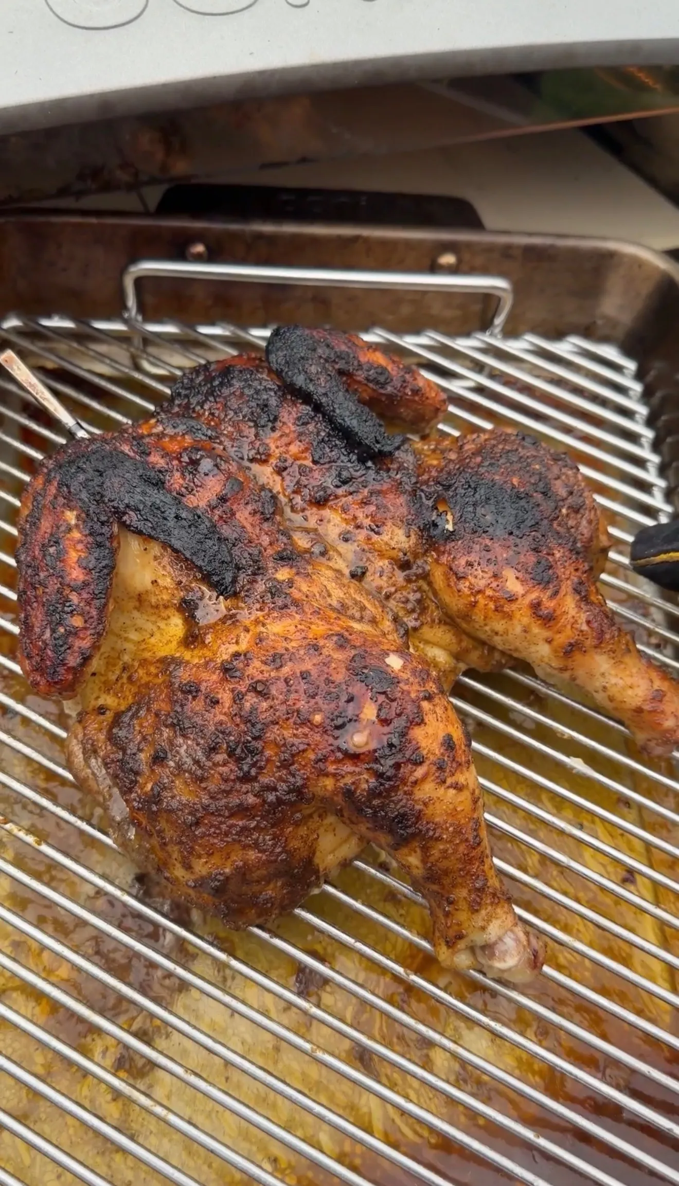 Charred spatchcock chicken with golden-brown crispy skin cooking on a wire rack in the oven