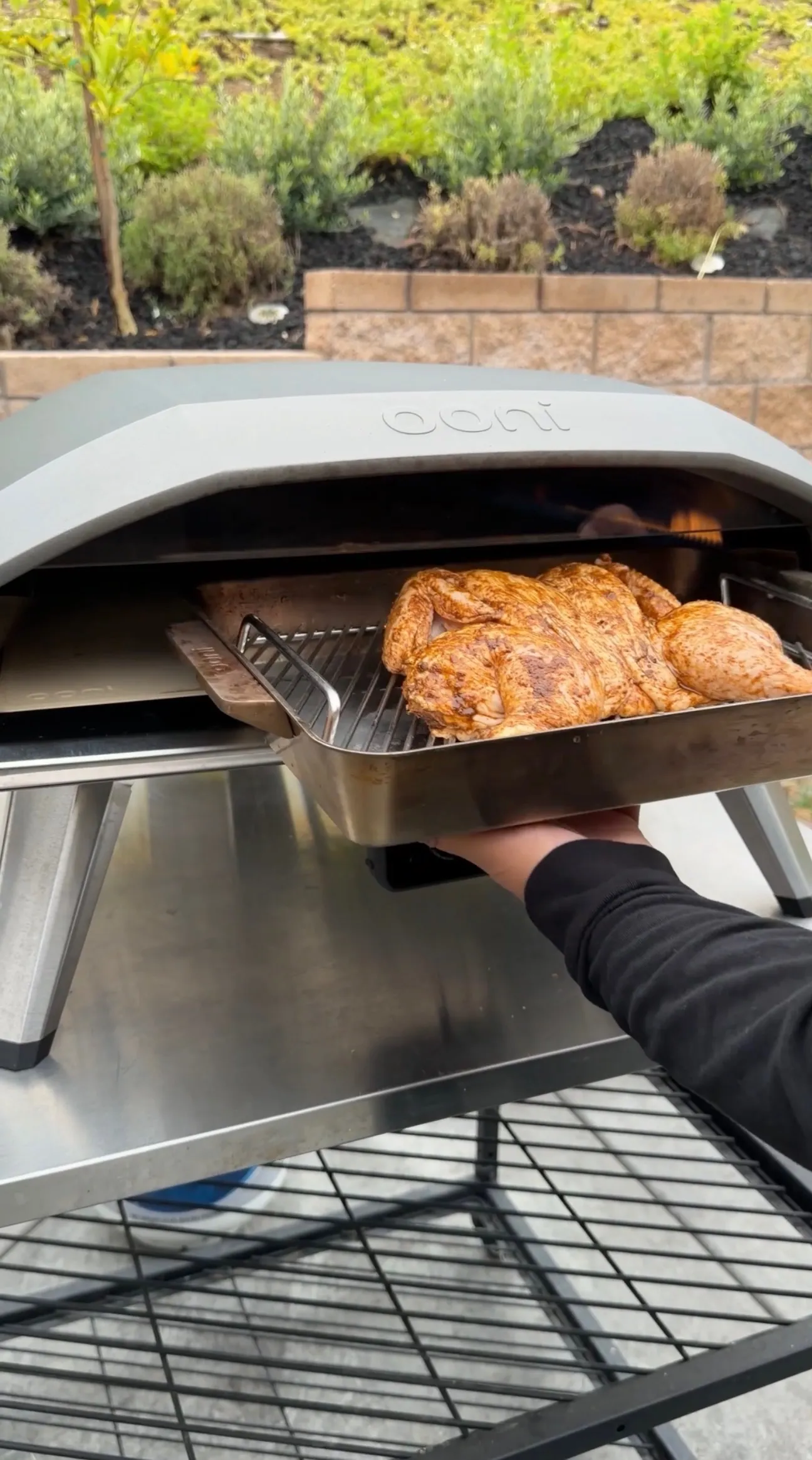 Golden brown spatchcock chicken being removed from Ooni pizza oven on metal tray in outdoor garden setting