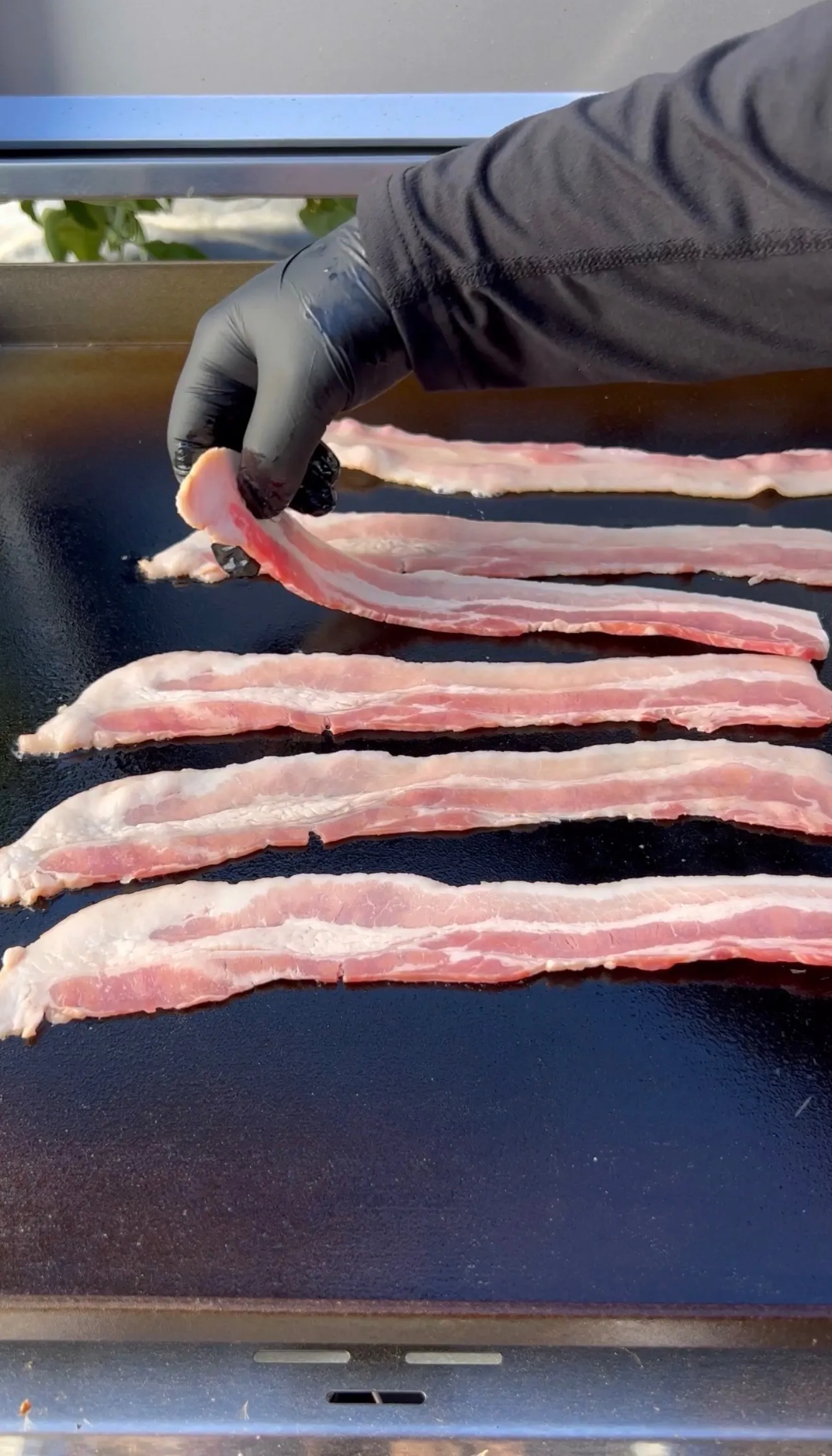 Raw bacon strips laid out on a black griddle being prepared for cooking with gloved hands