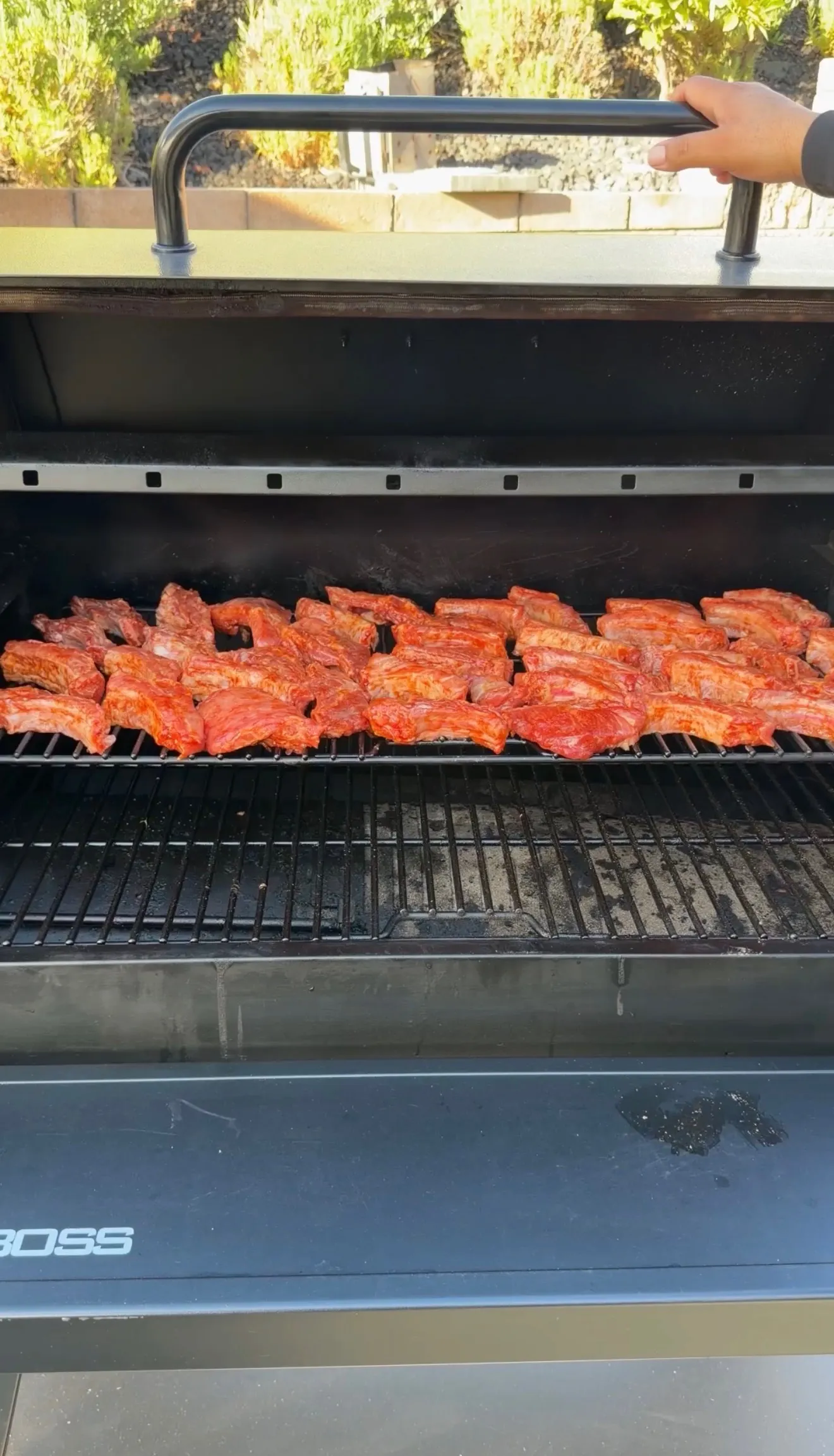 Seasoned brown sugar bourbon party ribs arranged on upper rack of a Pit Boss pellet smoker grill