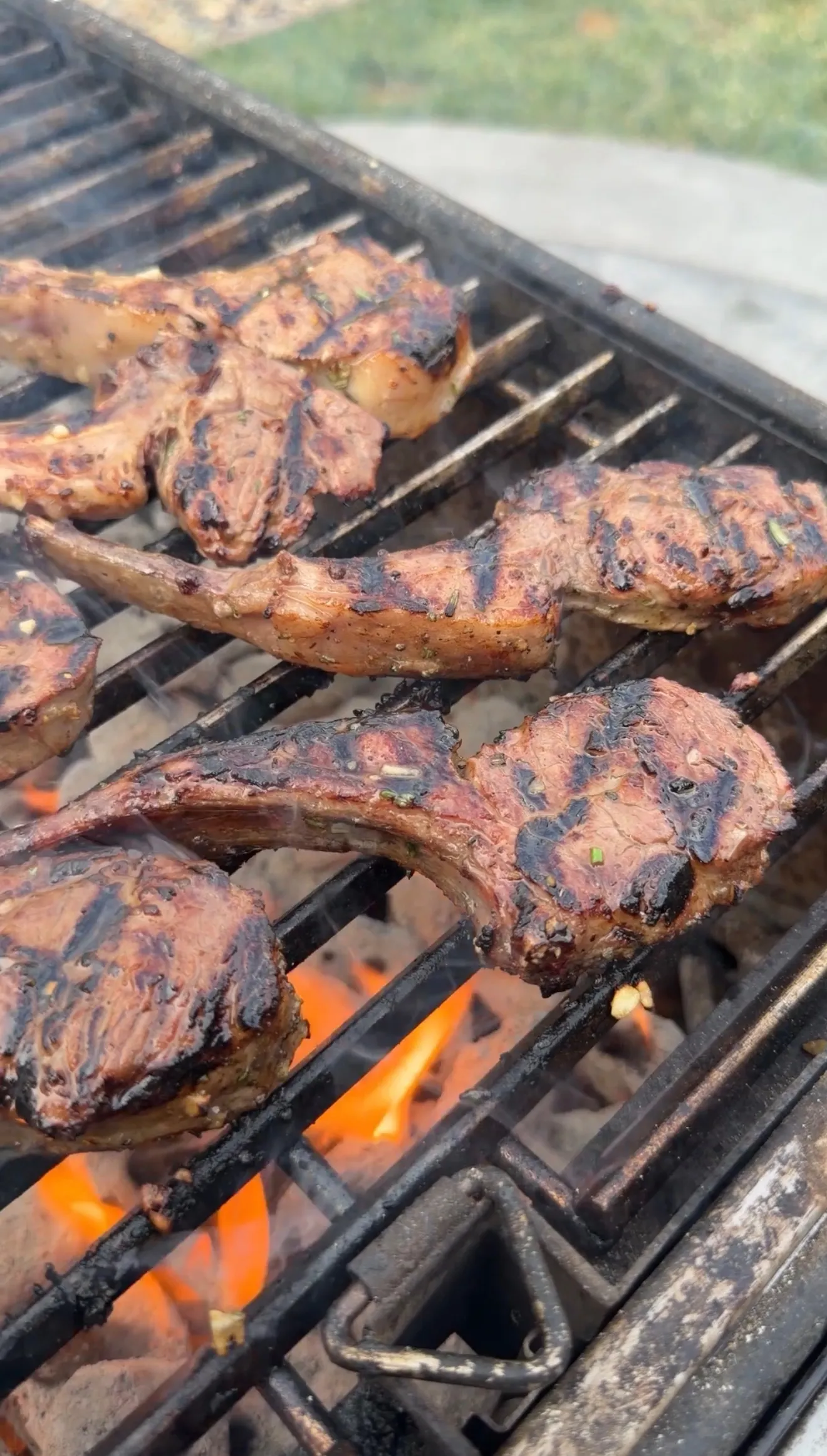 Garlic and sherry marinated lamb lollipop chops with char marks grilling over open flames on outdoor grill