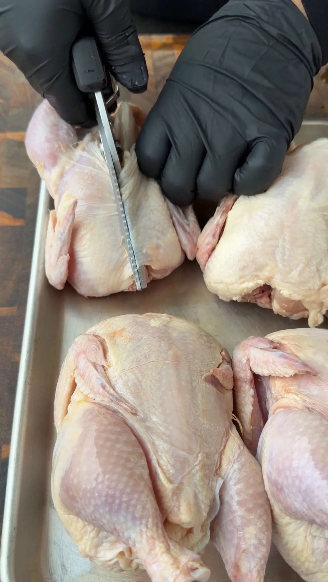 Gloved hands using kitchen shears to spatchcock raw Cornish hens on a stainless steel baking sheet
