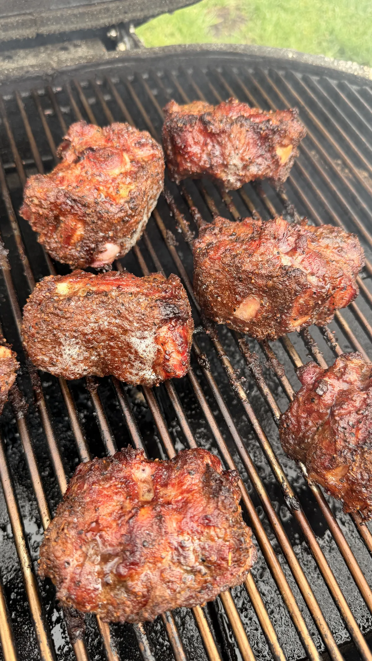 Seasoned beef oxtails with deep smoky bark smoking at 250°F on grill grates, developing color before braising