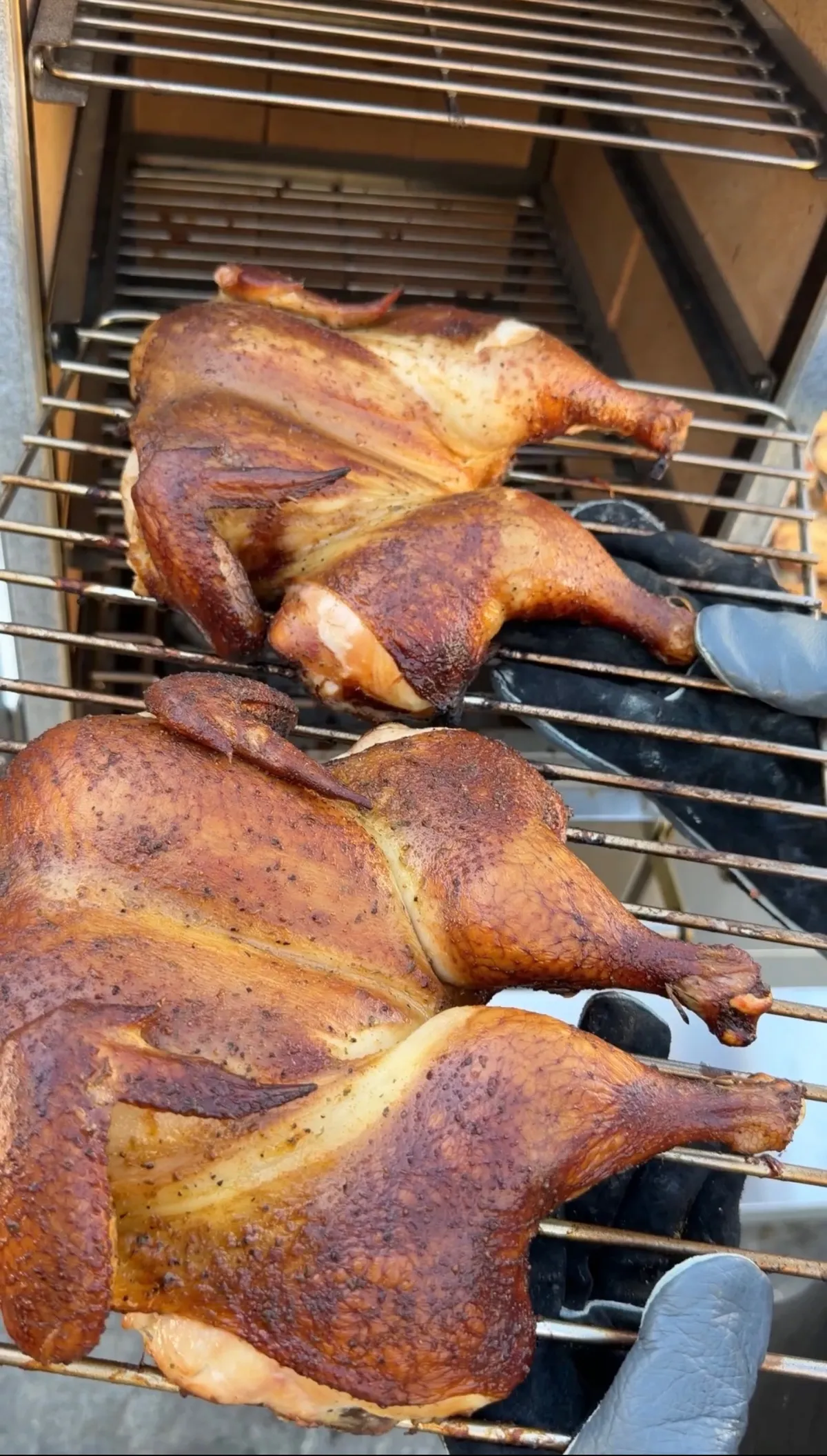 Three spatchcock chickens smoking on grill racks in an applewood smoker, skin golden-brown and caramelized