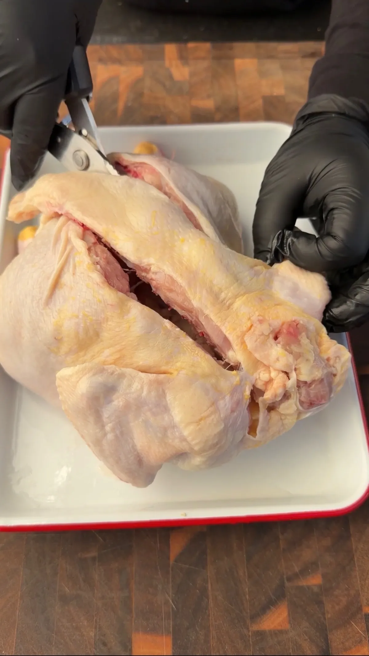 Hands in black gloves using kitchen shears to cut along backbone of raw whole chicken to spatchcock it