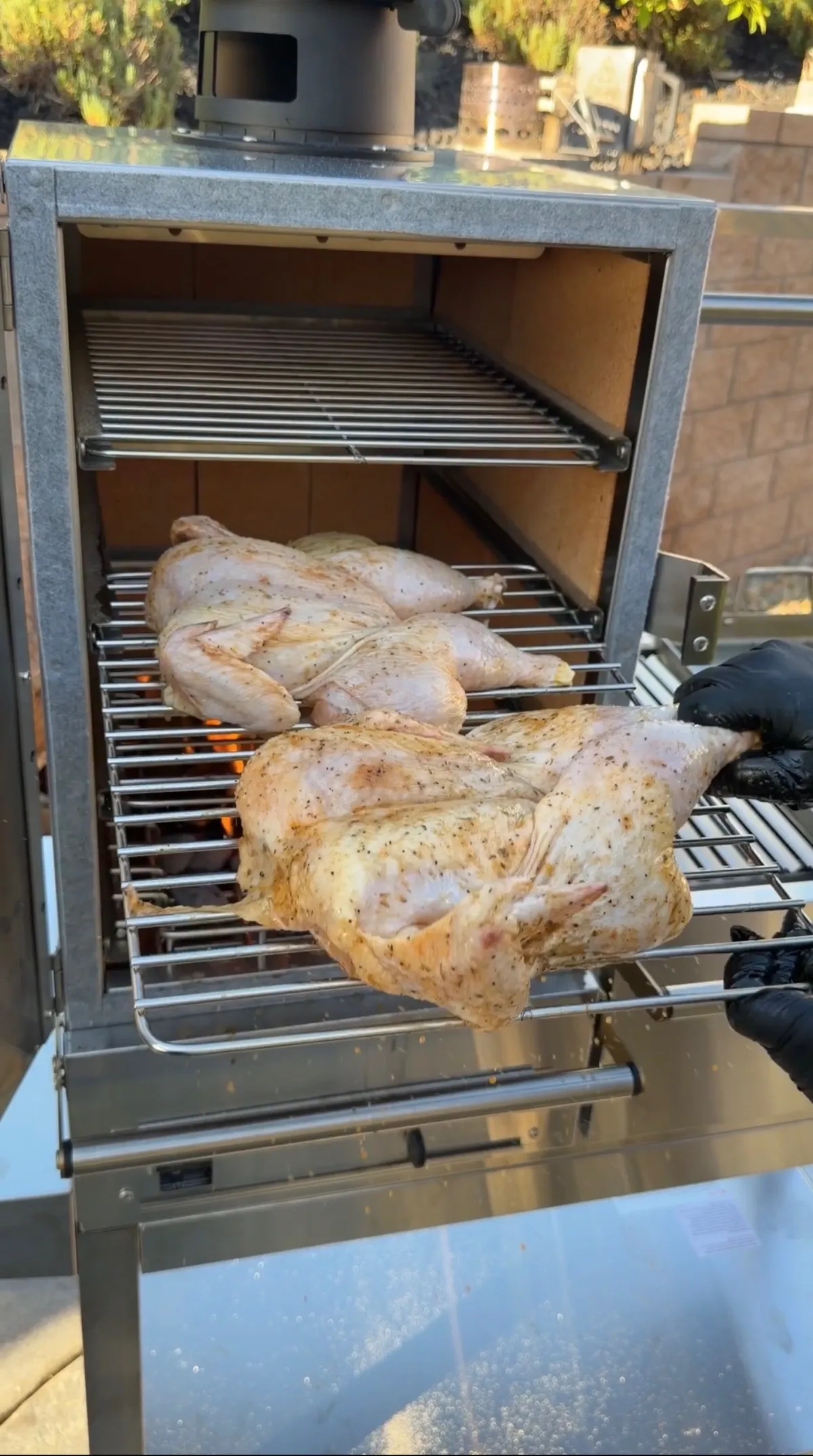 Spatchcock chickens seasoned with poultry seasoning smoking skin-side up on a stainless steel smoker rack