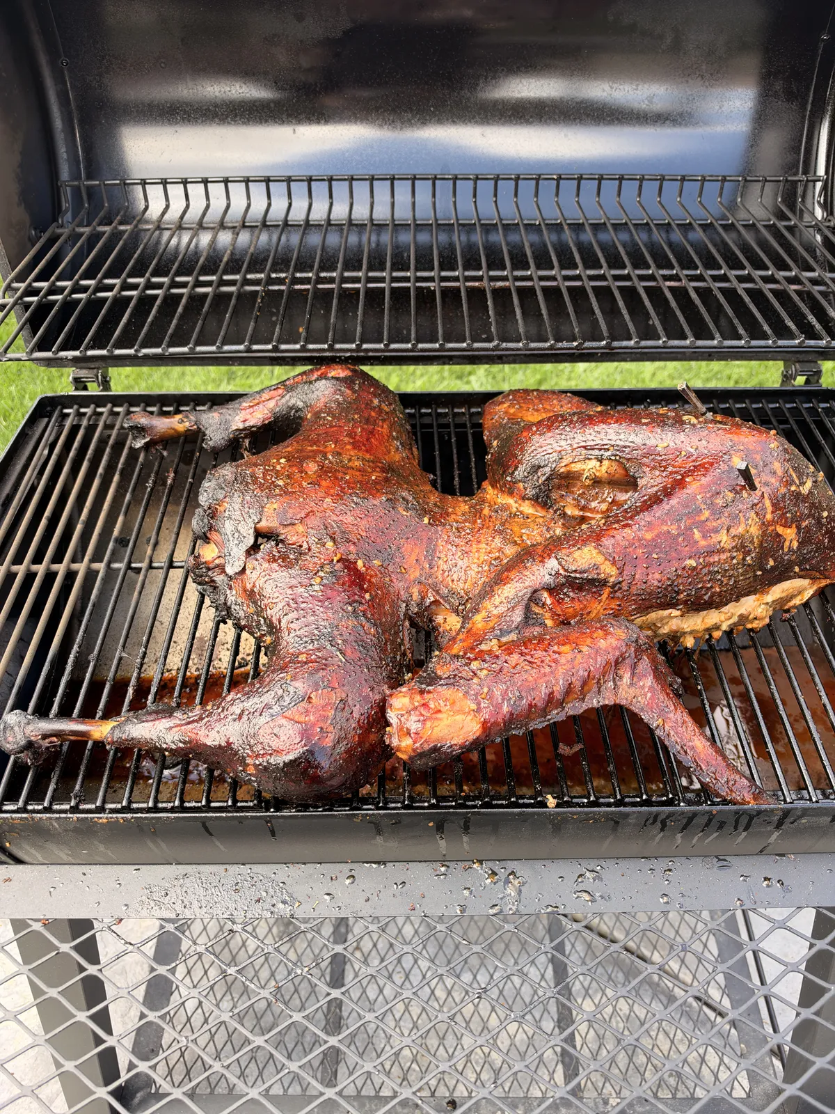 Cajun seasoned frog-style turkey smoking on applewood smoker with deep mahogany bark and crispy skin