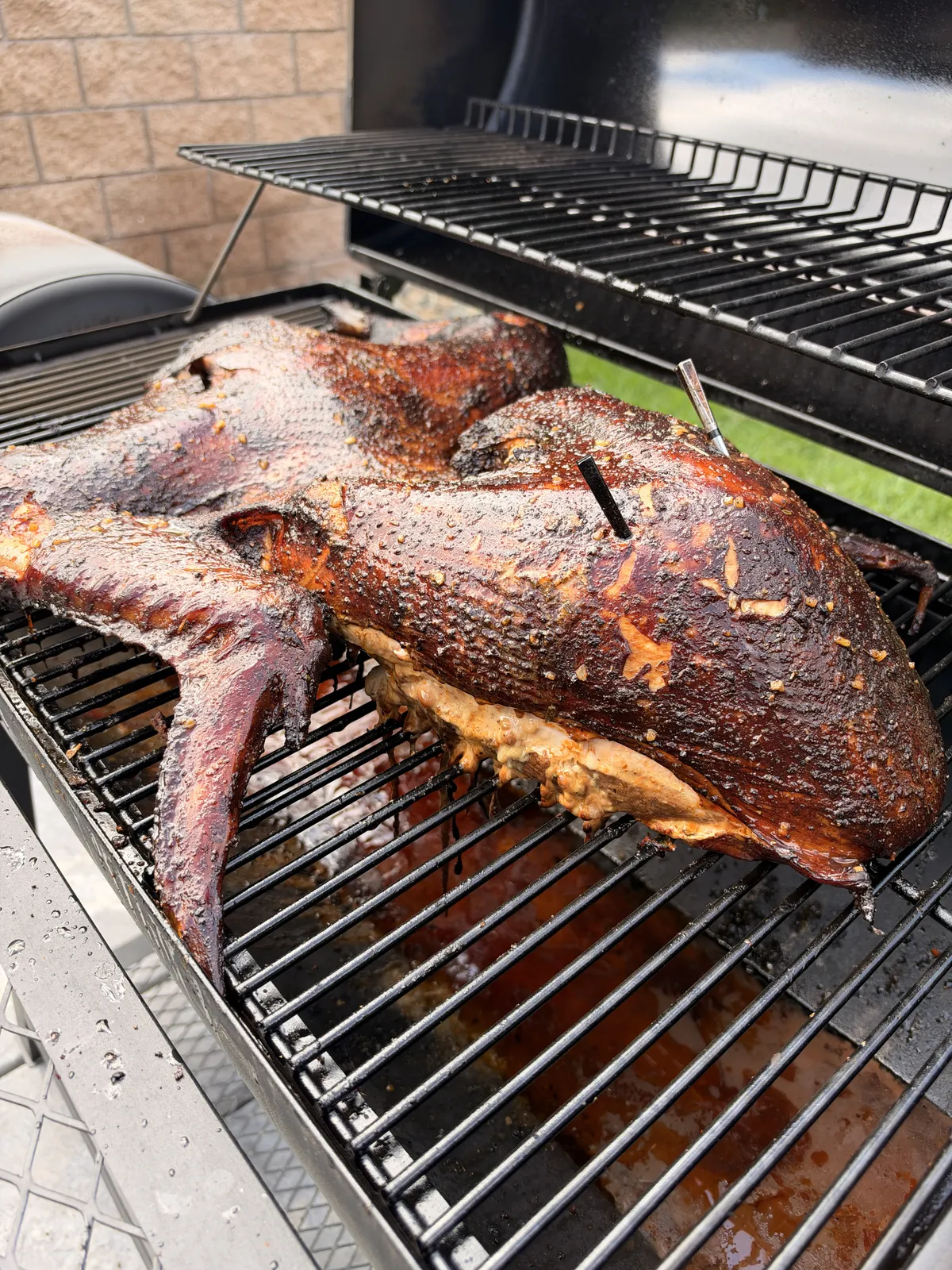 Cajun injected frog-style turkey on smoker grates with meat thermometer probe inserted into breast