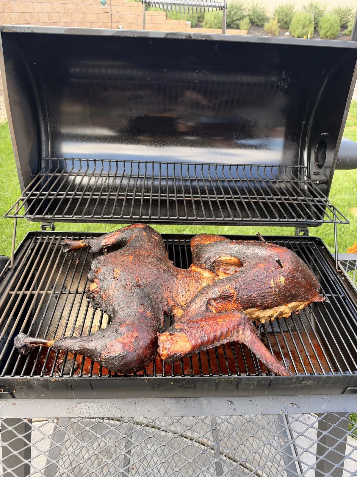 Cajun injected frog-style turkey smoking on open grill grates with deep mahogany bark and applewood smoke