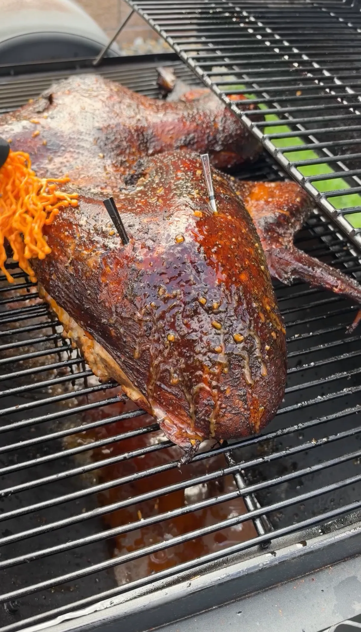 Close-up of Cajun injected frog-style smoked turkey with two meat thermometer probes inserted on smoker grates