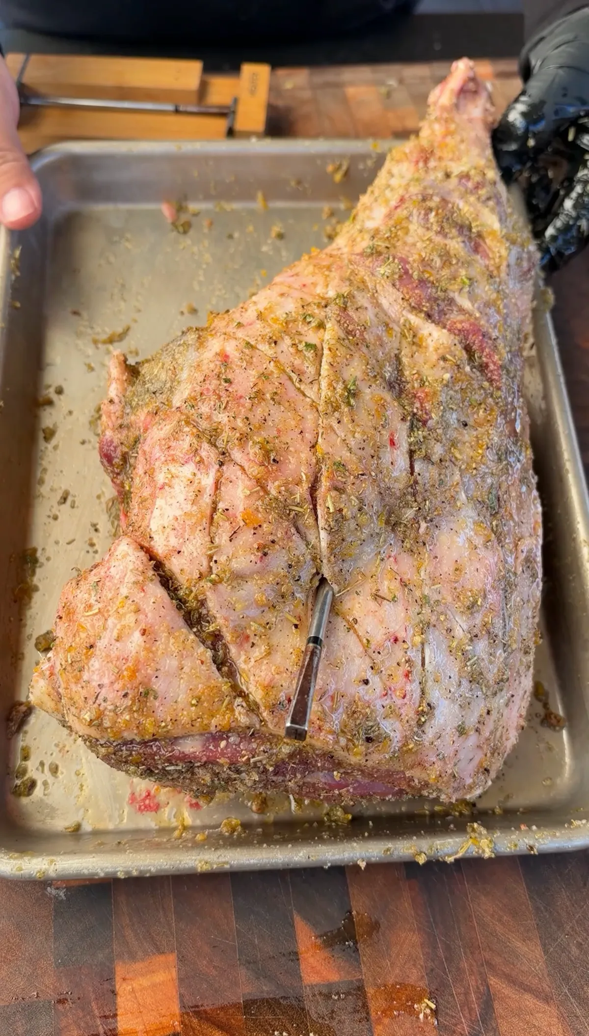 Leg of lamb coated in Greek oregano seasoning rub with crosshatch scoring and MEATER thermometer inserted, in roasting tray