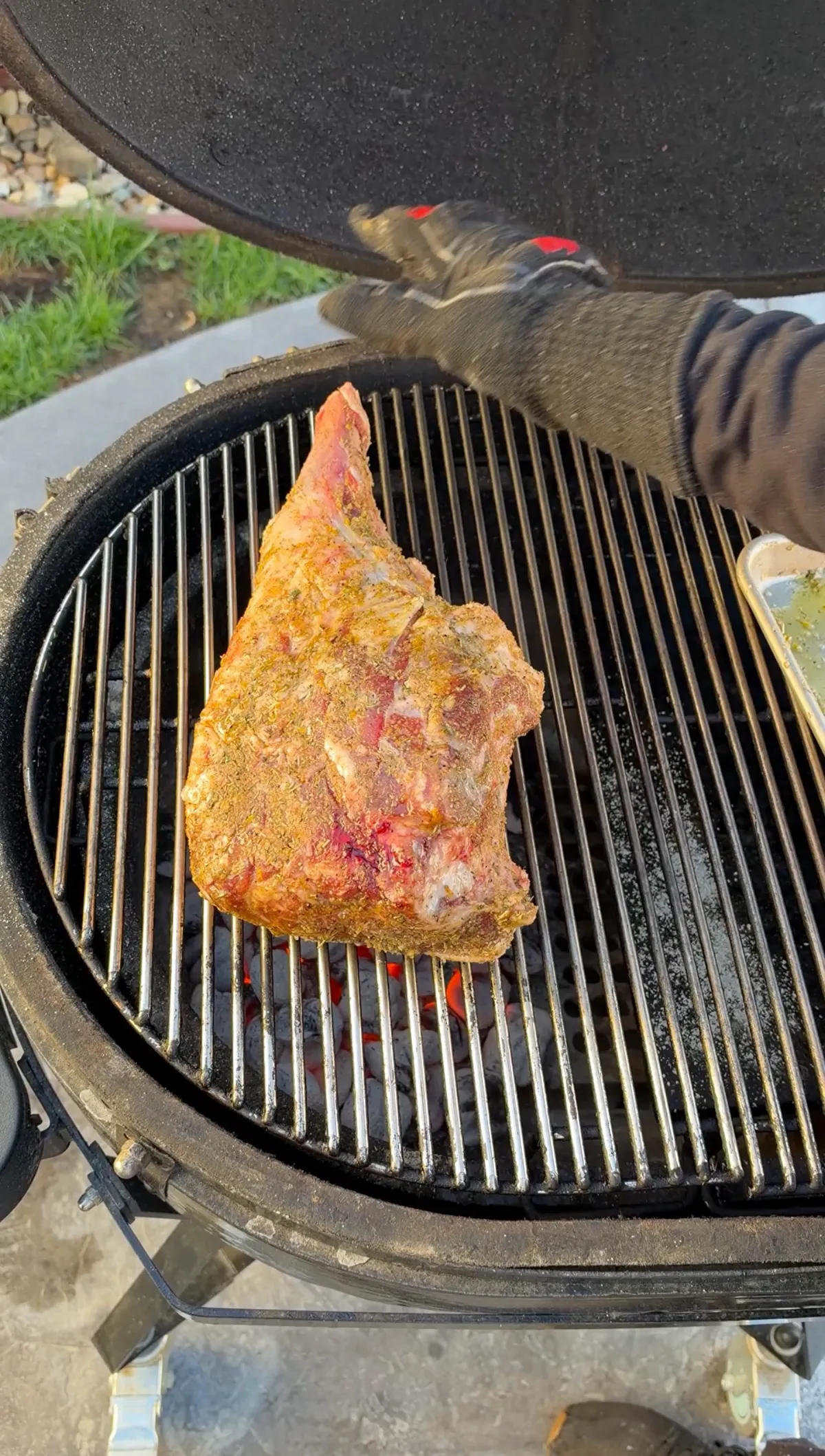 Seasoned leg of lamb with Greek oregano crust being placed on hot charcoal grill grates for searing